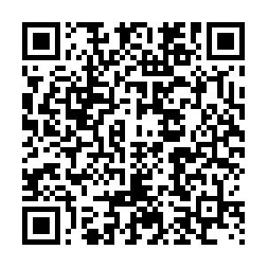 用宽大的浴袍将自己裹的严严实实的萨缇莱萨坐到餐桌前面的时候二维码生成