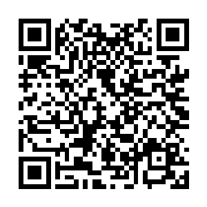 用我教你炼制了二阶攻击符印天雷轰顶符印教训他二维码生成