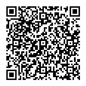 用手中的树杈儿拨了拨火堆看到了中间还有亮度也就是说还没有全部烧完贝海又把木灰拢了起来二维码生成