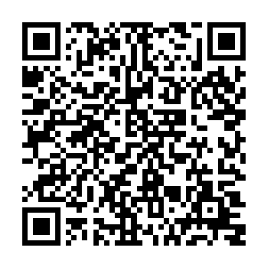 用时只要将光珠之中的一束光芒用神识引导进眼部就可以自由的控制强度二维码生成