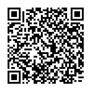 用最好的场次和最多的放映厅来播放这部必将带给全世界恐惧与欢乐的电影二维码生成