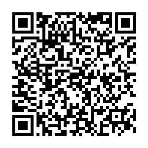 用机炮连连向龙且开火--导弹都已经用完了--鳌龙用激光炮反击二维码生成