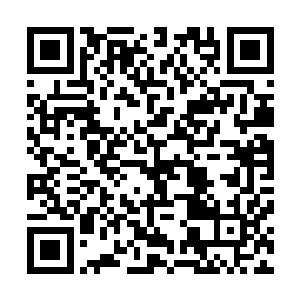 用来回答分子生物学家所提出的单个基因表达的细节问题时二维码生成