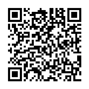 用的是信风符诏临时抽取帝君在仙炉内构建的基础回环二维码生成