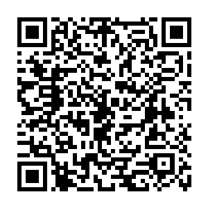 用碳纳米管编制组合起来的荷叶梗形状的外层结构看上去很让人有些不舒服二维码生成