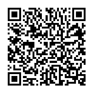 用神识瞄到了流墨墨露出明朗笑容的血幽紫忍不住把意识体凑过来八卦的说道二维码生成