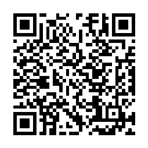 用精拳头也收拾干净他们了…………十三在应州城塞内二维码生成