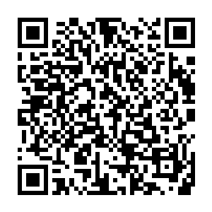 用过云鹤子家里专门用来检测修士灵根属性的属性石测过自己的属性二维码生成