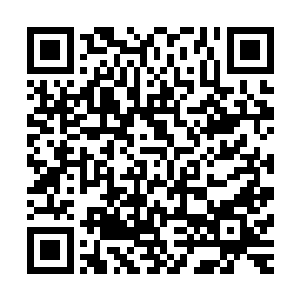 用这种方式来使自己对张智的担忧以及思念减淡那么稍微一点二维码生成