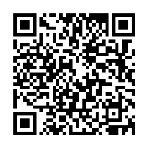 用这种罕见的大禹石和天牛角炼制出来的灵傀儡会是什么样子二维码生成