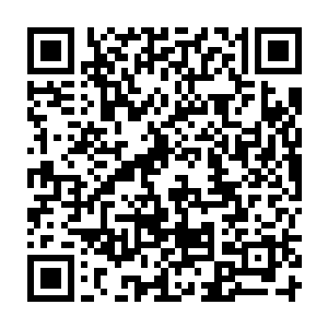 用那些已经不在了的机器人伯伯们遗留下来的材料做成的手臂总归是坏掉了二维码生成