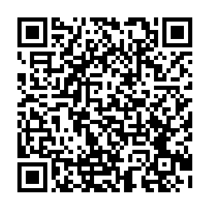 用那双红透了的眼睛俯视着这个已经完全失去抵抗意志的同为纳神境修者二维码生成