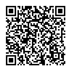 甬道中实际的蓝血冰蝠的数量肯定要比秦方预测的多出许多的……二维码生成