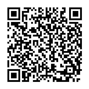 田中甚至已经开始谋算着要用自己的手将秦方那张脸抽成一张大象脸了二维码生成