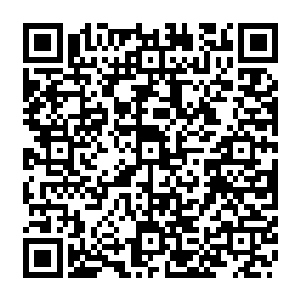 田心中满满的都是激动这么多的药材自己可以炼制多少的丹药啊可以去卖多少的钱呀二维码生成