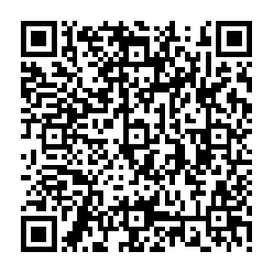 田志虎和他的弟弟田志豹一直是活跃在我们国家内为国际杀手组织服务的一级通缉犯二维码生成