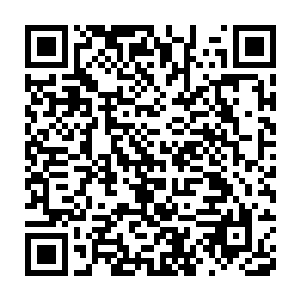 田横和梅苦寒倒是因为第一次服食九品后期巅峰仙丹得到了不小的好处二维码生成