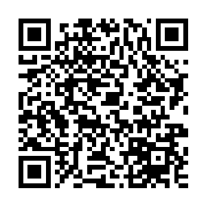 由一百多名植物系妖皇和一百多名飞禽系妖皇联手布置而成的二维码生成