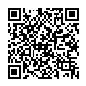 由不得他们不更加小心翼翼的对待……宋濂只事小喽啰而已二维码生成