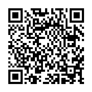 由于之前万蛇之母迁移种族到炼狱世界所受到的混乱意志二维码生成