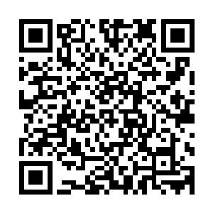 由于之前的确无法拿出证据来证明楚旬不是虫族和尸族的奸细二维码生成