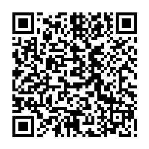 由于你们用各种冠冕堂皇的理由去推卸身为一个成年人应承担的社会责任二维码生成