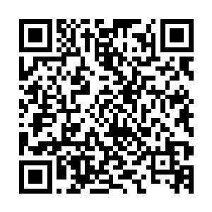 由于我们的欢喜哥担任新仙桃村代理村长的位置刚刚是第一年二维码生成