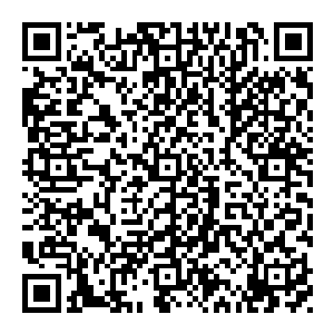 由于没有带潜水的器材贝海这边上洗下沉换了两次气之后就不再下潜而是回到了自己的椰木舟上划回家里去准备搜一下这个东西叫什么二维码生成