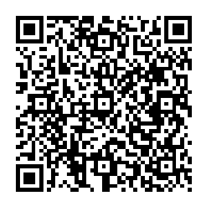 由于经过了了黑暗之力的洗礼又经过了混沌之力的修复是龙傲天的经脉变得更加的充满了韧二维码生成
