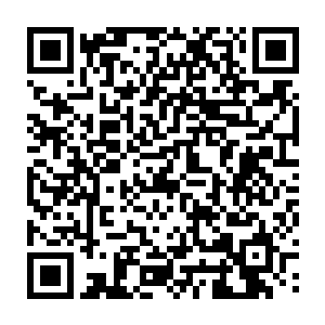 由于许德拉已经挡在了他的前面所以现在龙傲天根本就没有必要撑开防御二维码生成