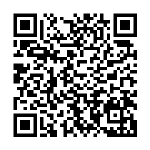 由华飞影视和挂靠在华飞影视旗下的刘燕工作室联合投资拍摄二维码生成