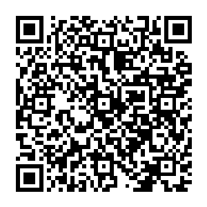 由大量五行虫所组成的黑色虫云也跟由大量嗜血魔蝠所组成的厚厚血云重重的撞击在了一起二维码生成