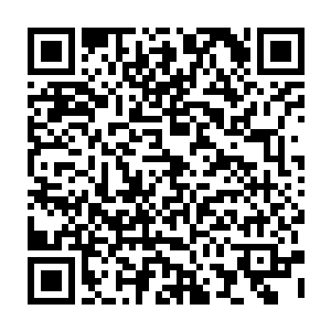 由此也可以见到维林这次在乌啼荒原里面所遇到的危机远远不止爆炎狼群这点二维码生成
