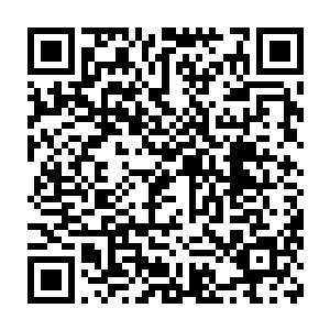 由这么多凤族先辈遗留下的本名凤羽编制而成的羽翼本來就非常强大二维码生成