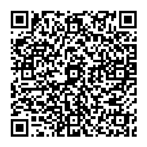 甲子营中的老兵已经率领着自己的部下组成一个又一个小的战阵面对两倍于自己的敌人厮杀的难解难分二维码生成