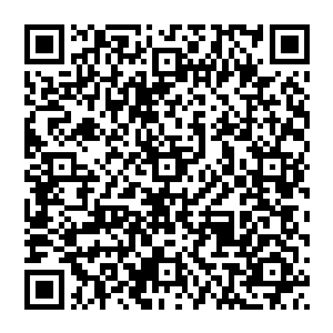 电影公司在镜头前告诉观众――我们正在寻找电影方面的天才――这根本就是好莱坞最大的谎言之一二维码生成