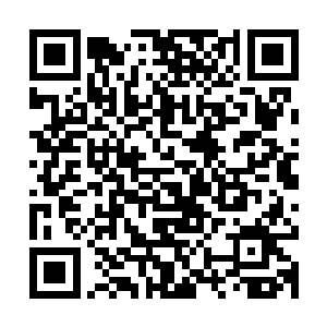 电脑屏幕上出现了一行字……正是张小凡发给姜美玲的那条短信二维码生成