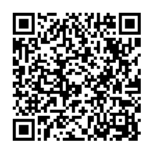 电视机里播放着黄飞鸿之男儿当自强剧组在武昌府接受采访时候的画面二维码生成