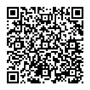 电视转播敏锐的捕捉到了一名比较胖的拜仁球迷在看台上拉扯自己球衣领口的动作二维码生成