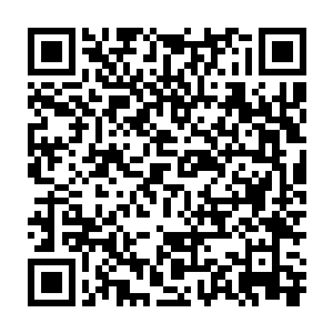 电视转播迅速切到了拜仁慕尼黑主教练马加特和总经理赫内斯的脸上二维码生成