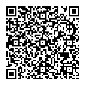 画这玩意平民姓消费的少政府部门购买量很大现在流行的送礼行为烟酒茶和画这五样东西占据了大比例二维码生成