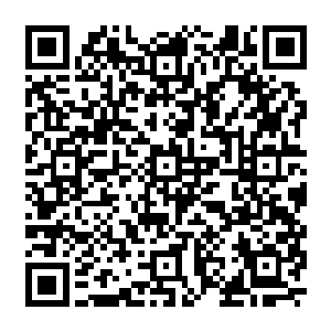 画面中这一波团战最先阵亡的不是直播视角中正在被如同疯狗般的武器狂切的西浅等人二维码生成