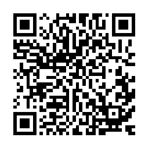 畅通无阻的通过由镇元圣主镇守的两界通道抵达了灵仙界遗址二维码生成
