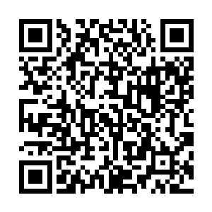 界主这一次已经秘密邀请了一百位洞天界当中顶级的炼器师二维码生成