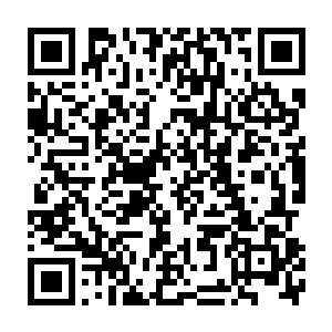 留下一缕若有若无的淡淡兰花香和一张写有警校通信地址的小纸片二维码生成