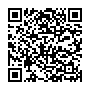 留下的是泛起无数的海洋魔兽的尸体和大片被血染红的海面二维码生成