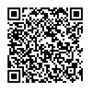 留在位面中无法飞行的十万亿百万亿千万亿低阶恶魔在这片超级废墟中彻底死绝二维码生成