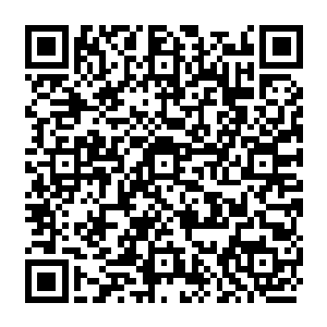 留在住地看守且现时段不用负责在周围巡逻的阿乌族勇士听到叫声也好奇地凑过来二维码生成