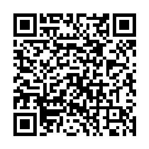 留在公司为黑客帝国制作特效的伯顿让张东城非常信任二维码生成