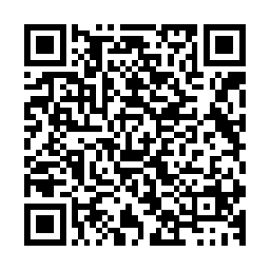 留在军中的信王府参军忙不迭的将信王迎接到了他的主帐里面二维码生成